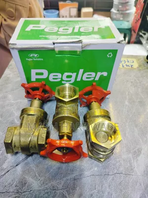 1" Pegler Gate Valve