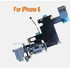 iPhone 6 Charging System