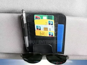 Sun Visor Organizer