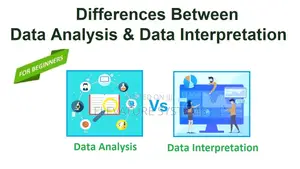 Affordable Professional Data Analysis Services