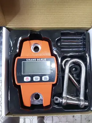 Highly Recommend 300kg Mini Crane Scale