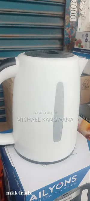 Electric Water Kettle