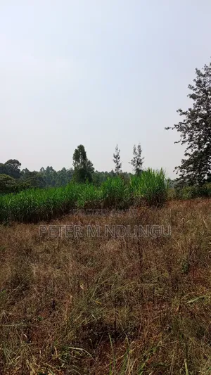 Residential Land on Sale, One Acre, Njathaini Road. Starehe