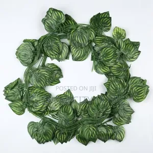 Decorative Vines/Money Plant