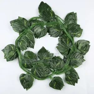 Decorative Green Leaves/Money Plant