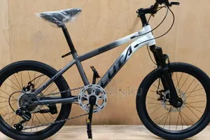 Unique Model Luta Bike