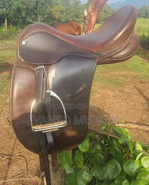 Horse Saddle