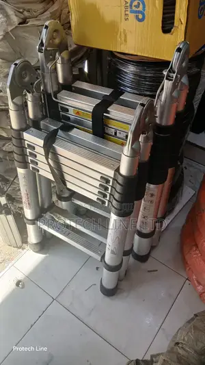 Double Telescopic Ladder 1.9m ×1.9m
