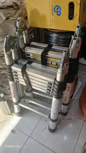 Double Telescopic Ladder 1.9m ×1.9m
