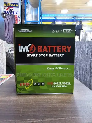 Ns40 Imo Efb Start-Stop Battery