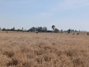 1.5 Acres Off Kiserian-Isinya Road Behind Sathya Sai School