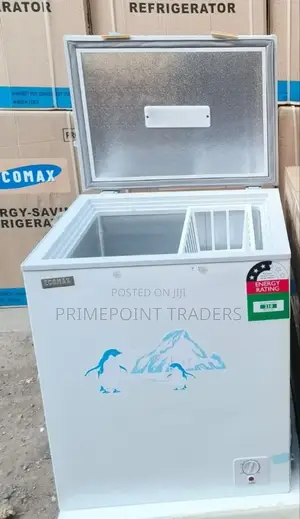 Ecomax Bd-119 119l Chest Freezers^