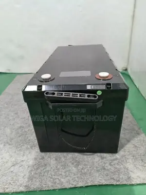 100ah 24v 2.56kwh Ritar Lithium Battries