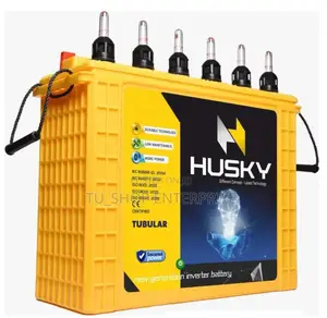 Husky Tall Tubular Battery