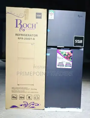 Roch 197 L RFR-250-Dt-B Double Door No Frost Refrigerator