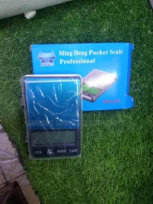 Top Guarantee Pocket Scale