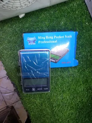 Most Appropriate Portable Pocket Scale