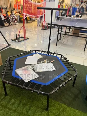 Indoor Fitness Trampoline With Bar