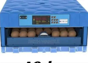 Egg Incubator 64 Eggs/Automatic Egg Incubator