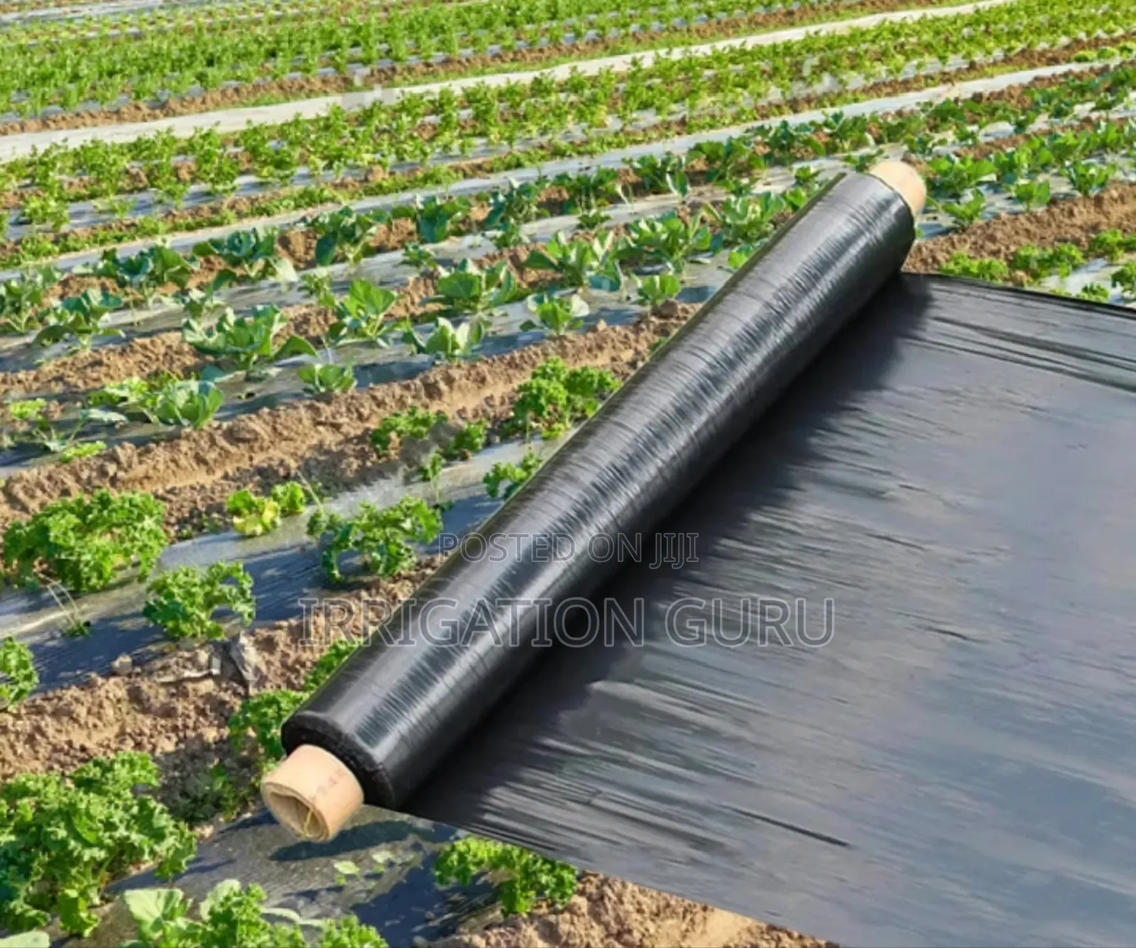 Mulching Net