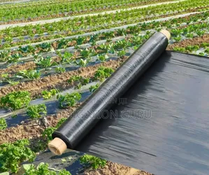 Mulching Net
