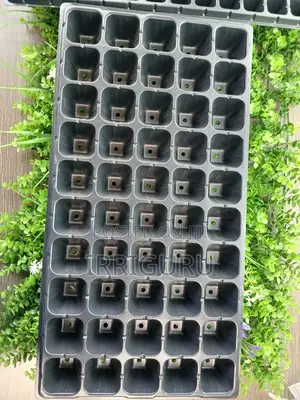 Seed Planters