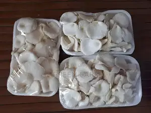 Mushroom Cultivation Training