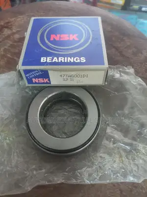 Nissan Kingpin Bearing
