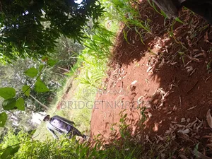 Land on Sale- 3 Acres