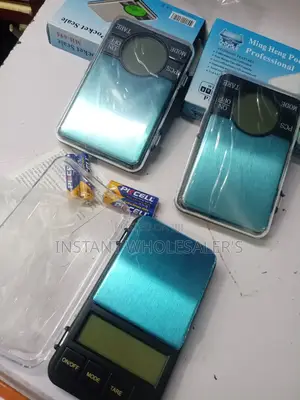 Pocket Portable Scale Professional
