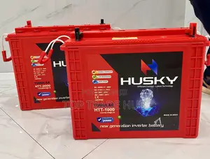 New Arrival Husky Tall Tubular Acid Solar Battery 12v 100ah