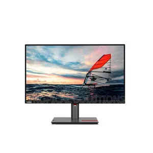 Lenovo Think Vision P25i-30 24.5" FHD Monitor// Lenovo