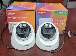 Weatherproof Hd Full-color Eyeball Dome Dahua Camera