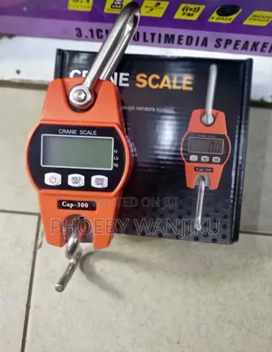 Digital Weighing Scale/300kgs Crane Scale