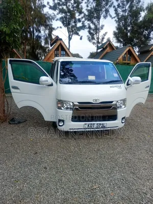 Car Hire and Tours and Travel Rental Services