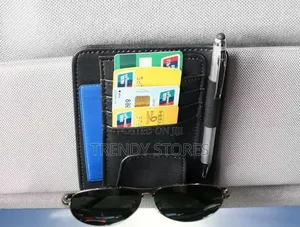 Sun Visor Organizer