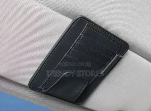 Sun Visor Organizer