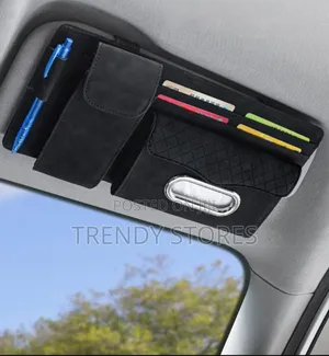 Sun Visor Organizer
