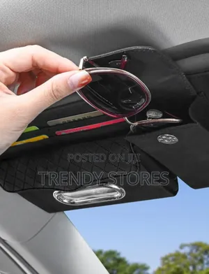 Sun Visor Organizer