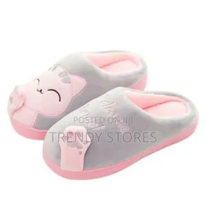 Indoor Shoes