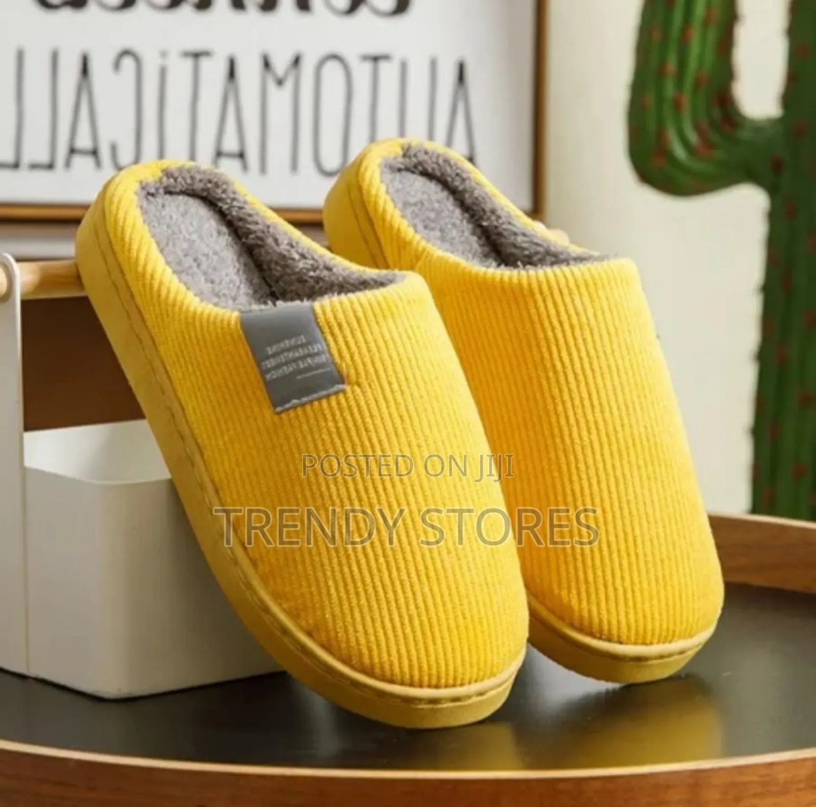 Indoor Shoes