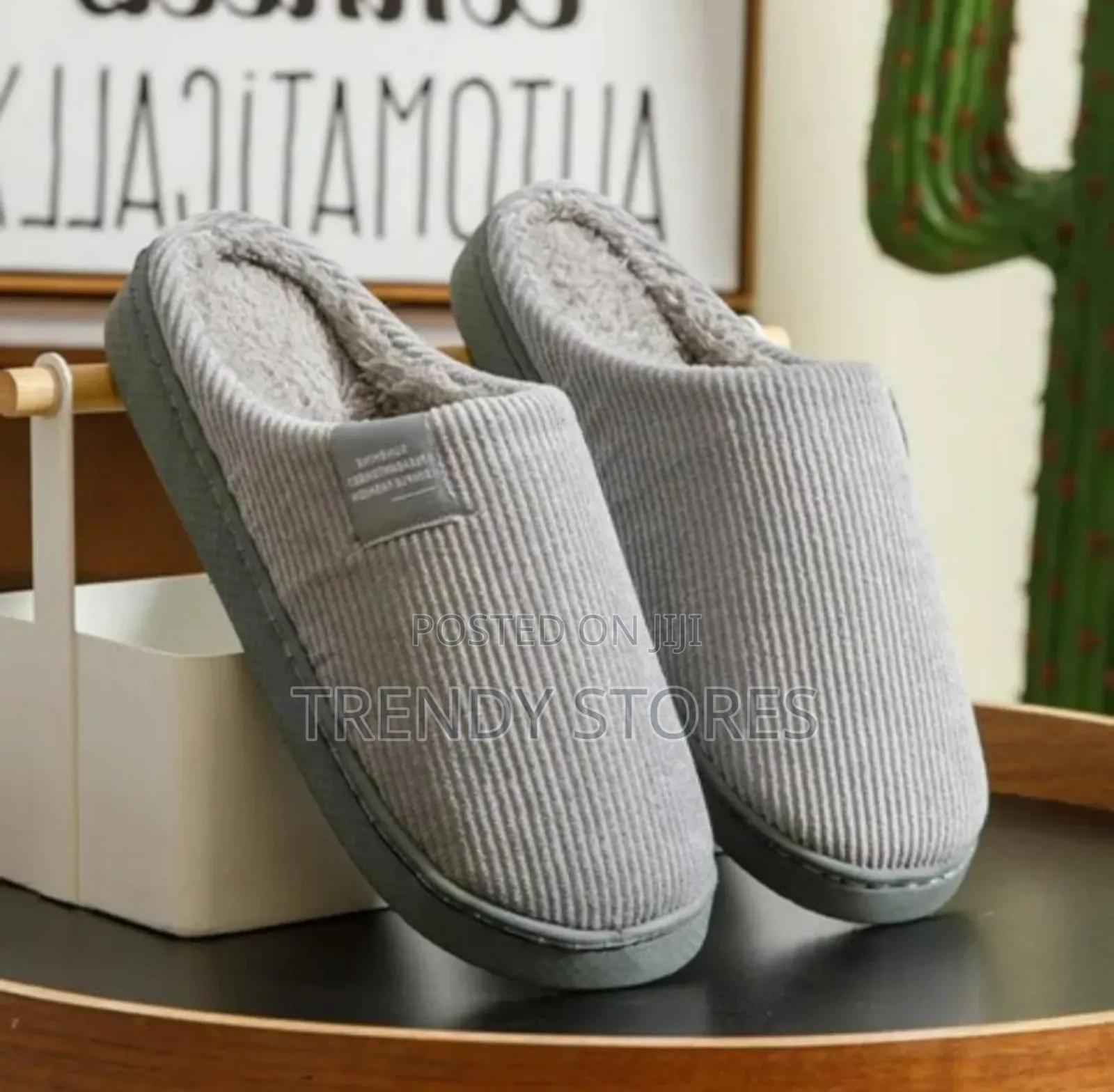 Indoor Shoes