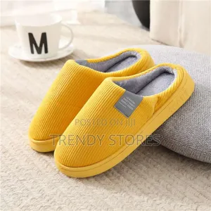 Indoor Shoes