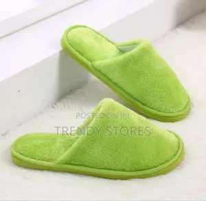 Indoor Shoes