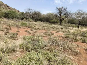 7 Acres Piece of Land on Sale in Ngong, Saikeri, Red Soil