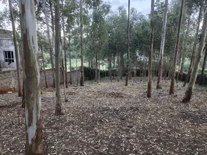 Prime Quarter Acre Plot in Ngong Touching Kahara Main Road