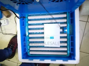 Ac/Dc 64 Eggs Automatic Hatching Machine Incubator
