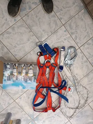 Full Body Harness With Back Suppott