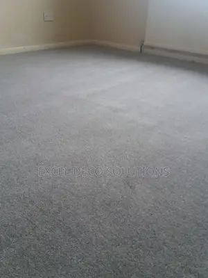 Delta Carpets – Premium Comfort From the Ground Up