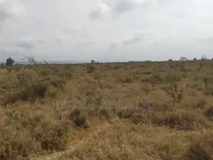 4 Acres in Kajiado-Ildamat